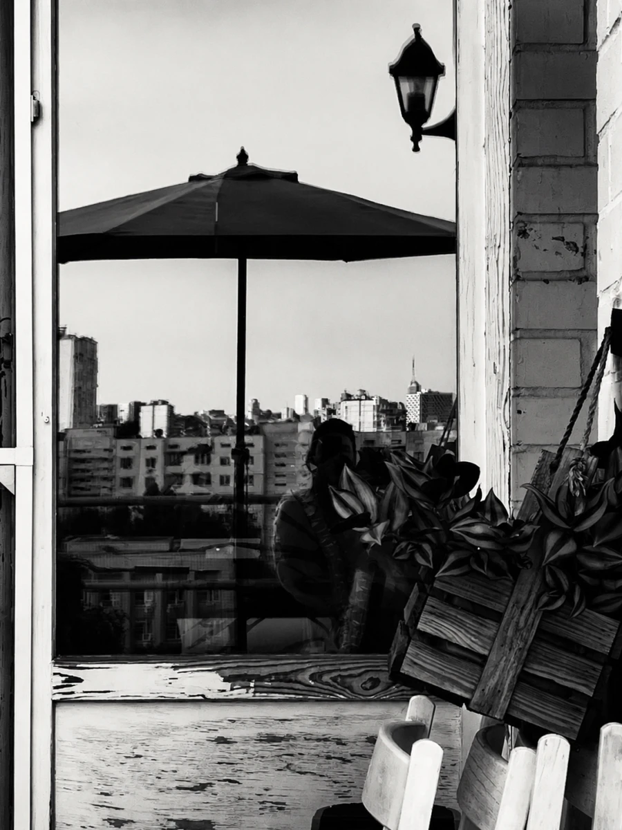 Black-and-white Kyiv window view with plants and city reflection