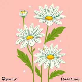 Hopmax and terrarium. - Flora official cover art